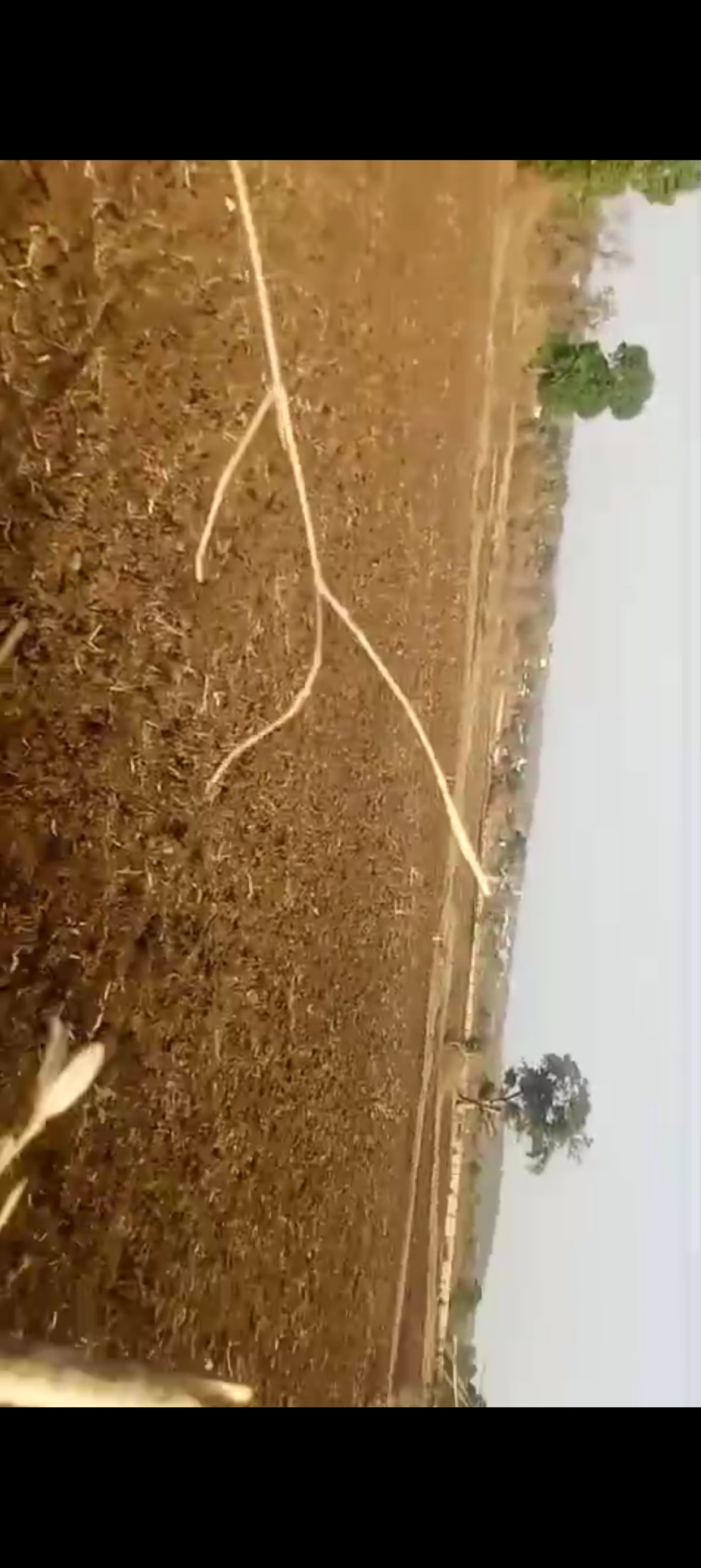 5 एकड़ जमीन काली मिट्टी जबलपुर से 60 किलो मीटर